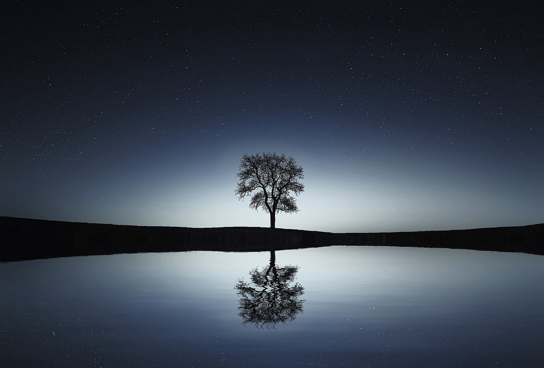 Bare tree on a moonlit night with background of a million stars, reflected by a lake